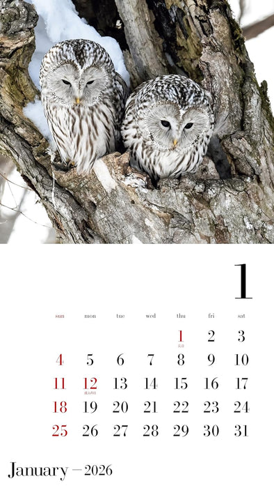 OWL Calendar 2026 (Monthly/Wall Calendar) (Yama-Kei Calendar 2026)
