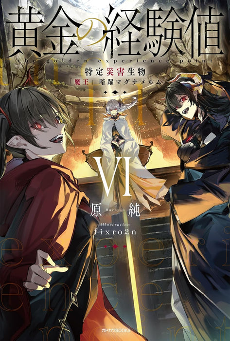 Ougon no Keikenchi VI (Light Novel)