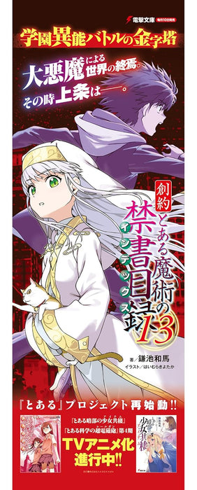 Souyaku Toaru Majutsu no Index 13 (Light Novel)