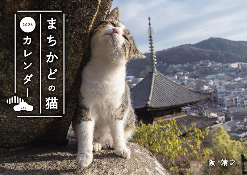 Street Corner Cats Calendar 2026 (Wall Calendar)