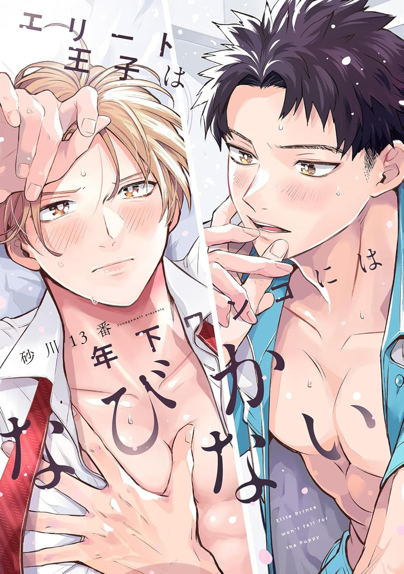 Elite Ouji wa Toshishita Wanko ni wa Nabikanai