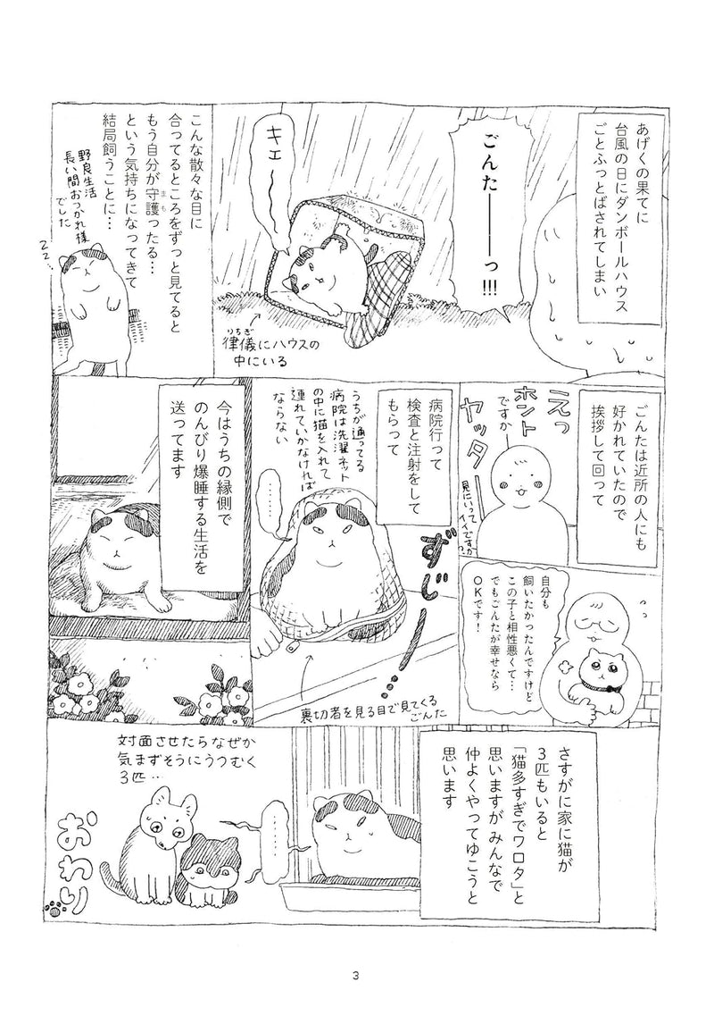 Noraneko Gonta, Ie Neko ni Naru