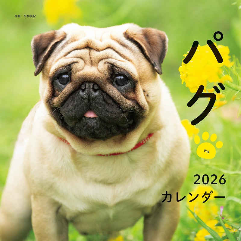 2026 Calendar Pug