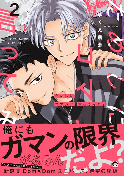 Tameshi ni Command Itte mita 2