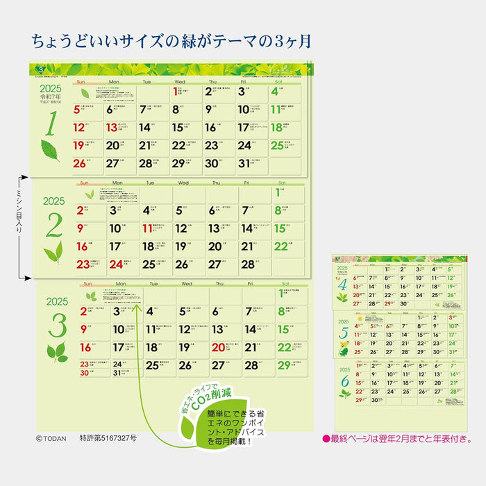 Todan 2025 Wall Calendar Green 3-Month eco M (From Top to Bottom Type / Perforated) 53.5 x 38cm TD-30940