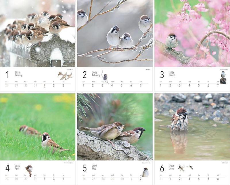 Calendar 2026 Suzume Biyori (Monthly/Wall Calendar/with Stickers) (Yama-Kei Calendar 2026)