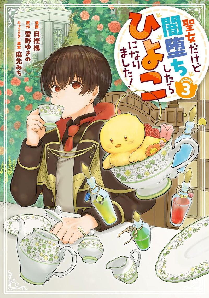 Seijo Dakedo Yami Ochi Shitara Hiyoko ni Narimashita! @COMIC 3