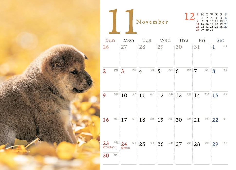 Shiba Inu Desk Calendar 2025