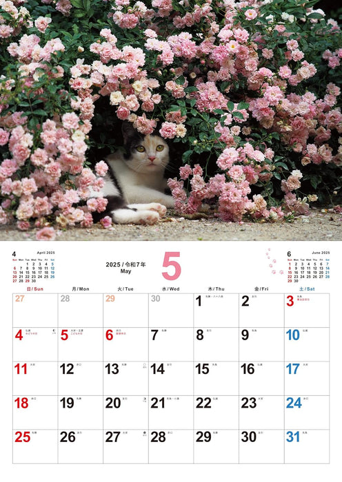 Neko Biyori 2025 Cat Calendar S13