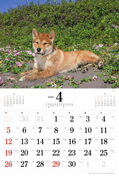 2026 Japanese Dogs Calendar