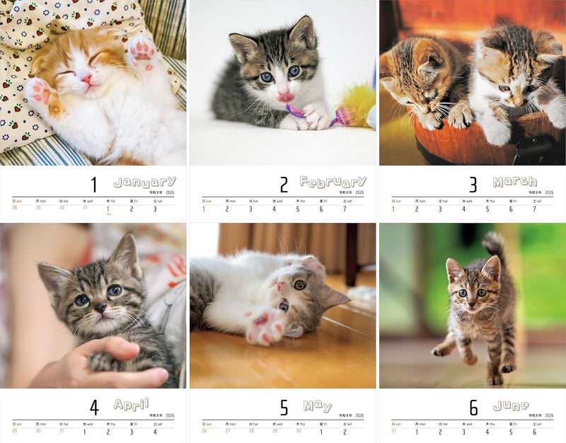 2026 Calendar Tiny Cat Mofu (Monthly / Wall Hanging)