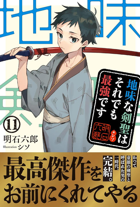 Jimi na Kensei wa Sore Demo Saikyou desu 11 (Light Novel)