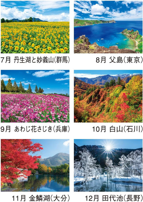 New Japan Calendar 2025 Wall Calendar Landscape in Japan NK138 610x425mm