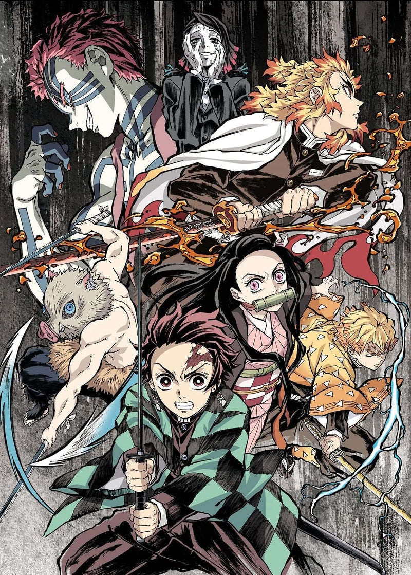 TV Anime 'Demon Slayer: Kimetsu no Yaiba' Mugen Ressha-hen 1 (Fully Limited Production Edition) [DVD]