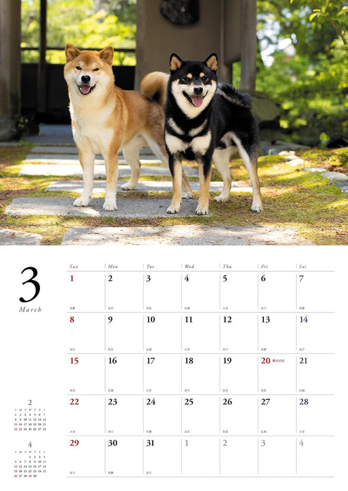Japanese Shiba Inu Calendar 2026 (Wall Calendar)