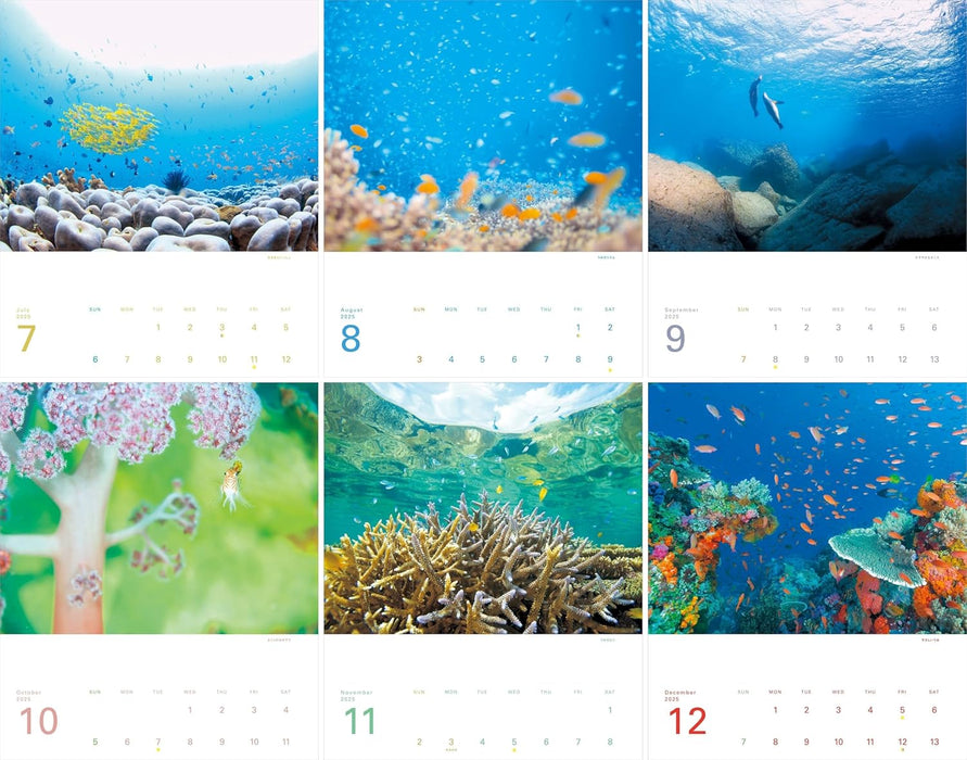 Calendar 2025 The Happiest Sea: The Most Beautiful Ocean in the World (Monthly/Wall Calendar) (Yama-kei Calendar 2025)