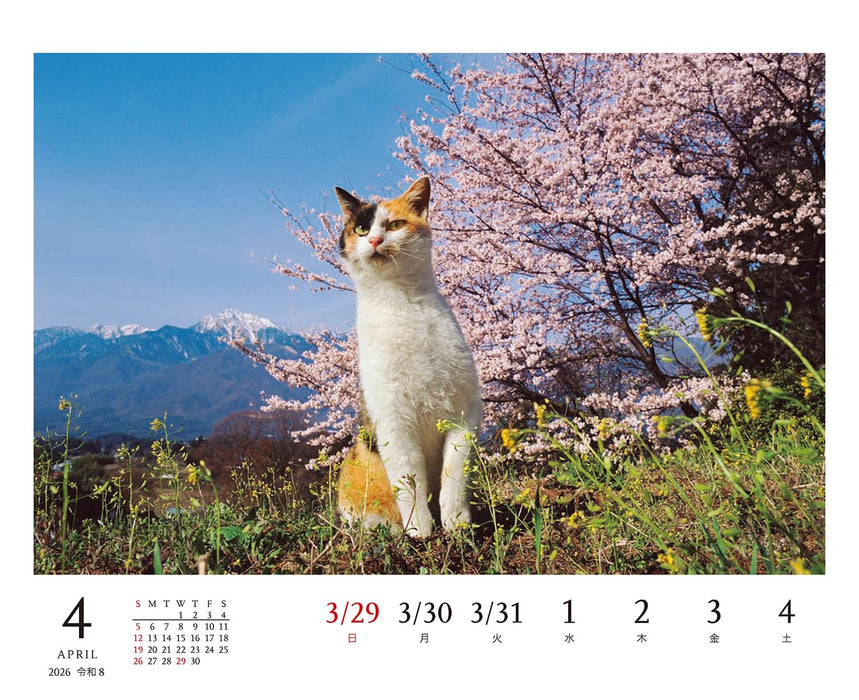 Mitsuaki Iwago Cat Desk Weekly Tear-Off Calendar 2026
