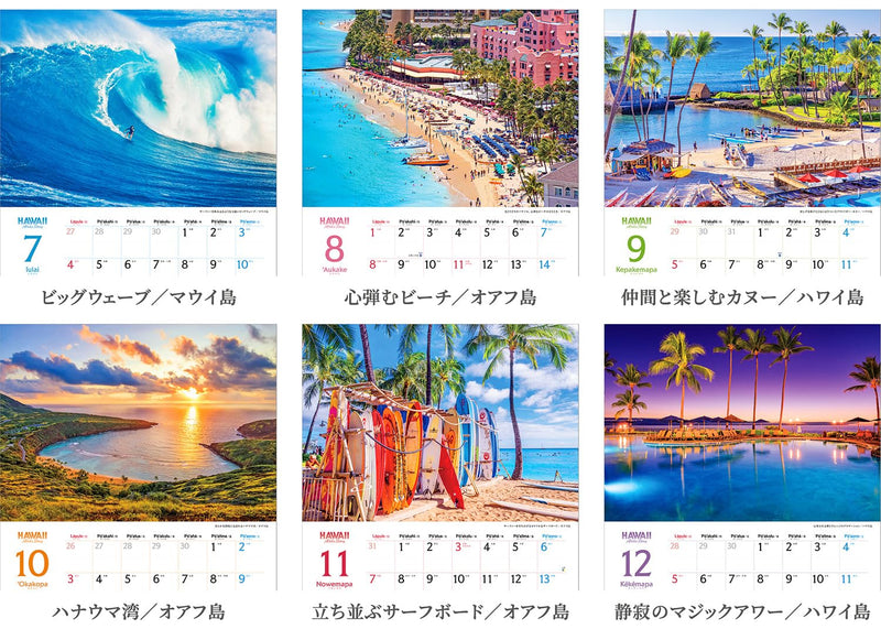 Shashin Koubou Calendar 'HAWAII Aloha Story' 2027 Wall Calendar (with Transparent Holder)