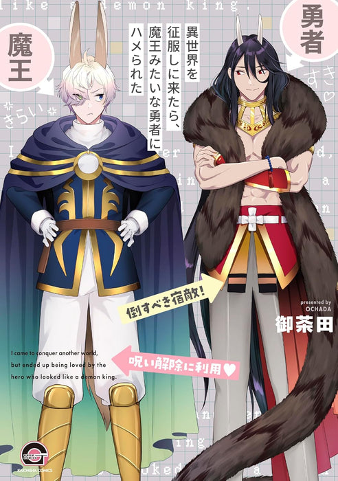 Isekai wo Seifuku shi ni Kitara, Maou Mitai na Yuusha ni Hamerareta