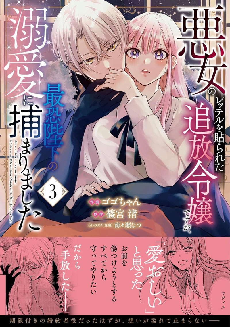 Akujo no Retteru wo Harareta Tsuihou Reijou desu ga, Saikyou Heika no Dekiai ni Tsukamarimashita 3
