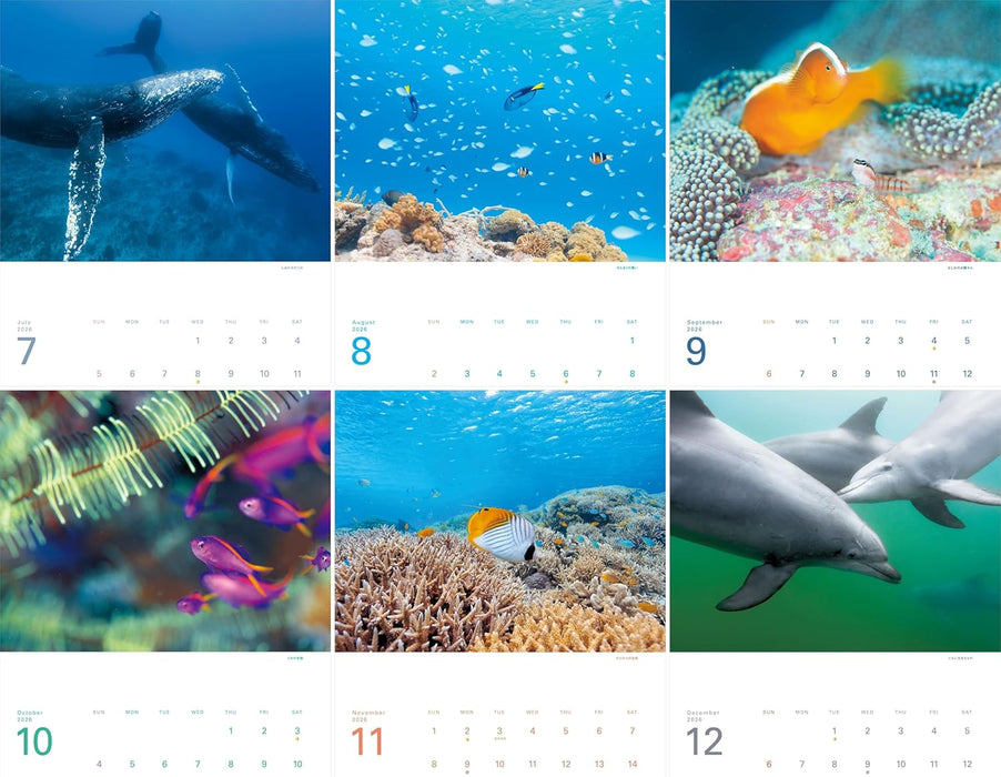 Calendar 2026 The Happiest Sea: The Most Beautiful Ocean in the World (Monthly/Wall Calendar) (Yama-kei Calendar 2026)