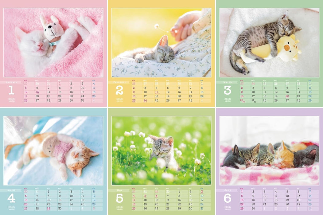 Kitten's Lullaby: 2025 Charity Calendar for Rescue Cats (Monthly / Desktop, Ring Binding)