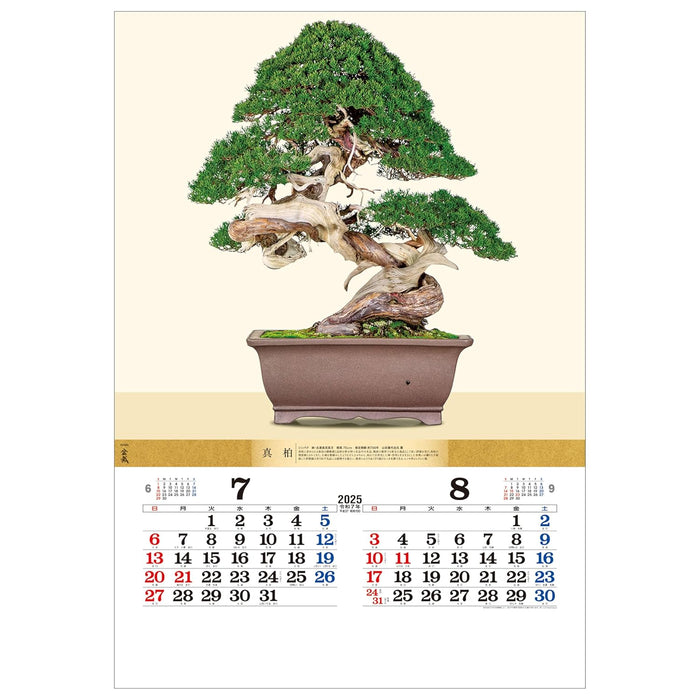 Todan 2025 Wall Calendar Bonsai 76.6 x 51.5cm TD-624