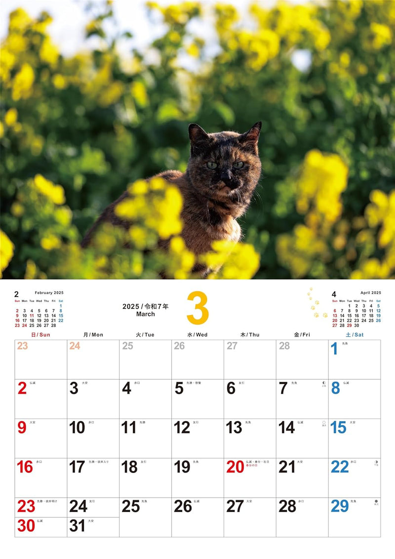 Neko Biyori 2025 Cat Calendar S13