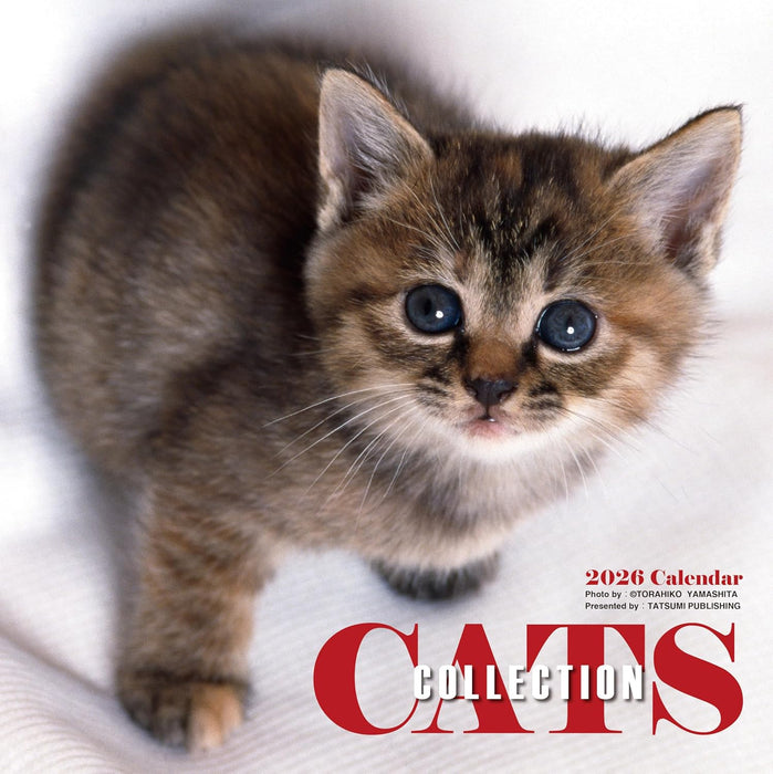 2026 Calendar Cats Collection