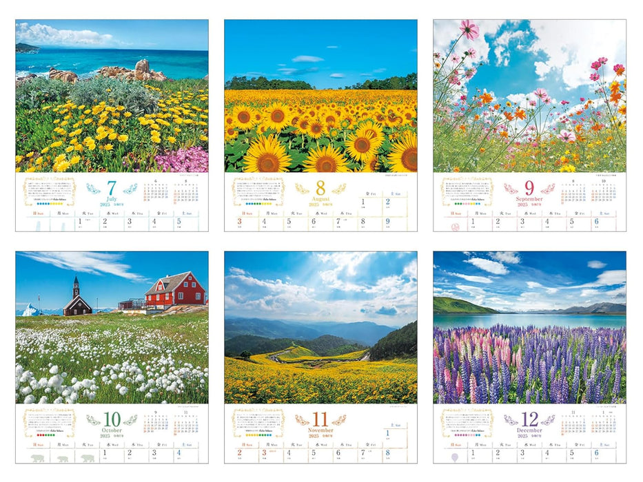 Calendar 2025 Romantic Flowers (Monthly/Wall Calendar) (Impress Calendar 2025)