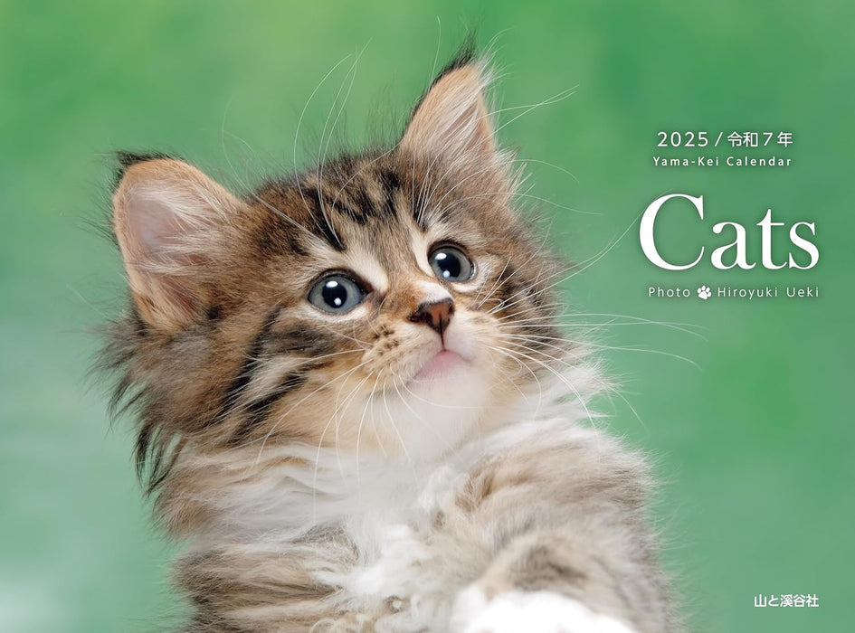 Calendar 2025 Cats (Monthly/Wall Ring Calendar) (Yama-kei Calendar 2025)