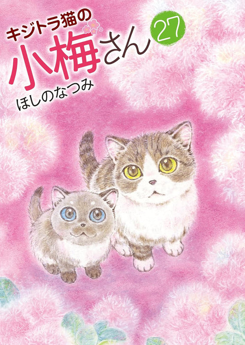 Plum Crazy! Tales of a Tiger-Striped Cat (Kijitora Neko no Koume-san) 27