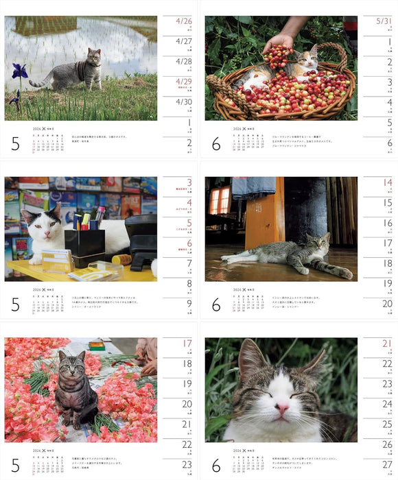 Calendar 2026 Mitsuaki Iwago x Cat (Weekly/Desk Ring Calendar) (Yama-kei Calendar 2026)