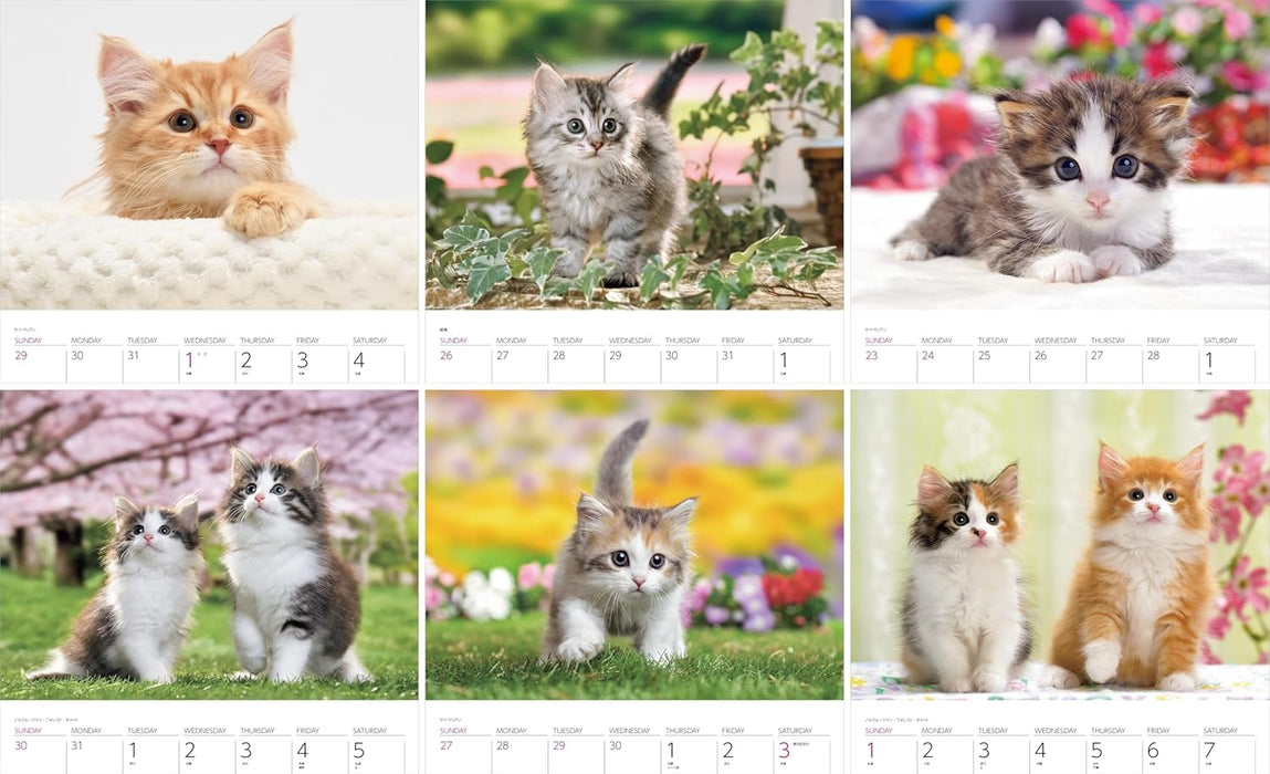 Calendar 2025 Cats (Monthly/Wall Ring Calendar) (Yama-kei Calendar 2025)