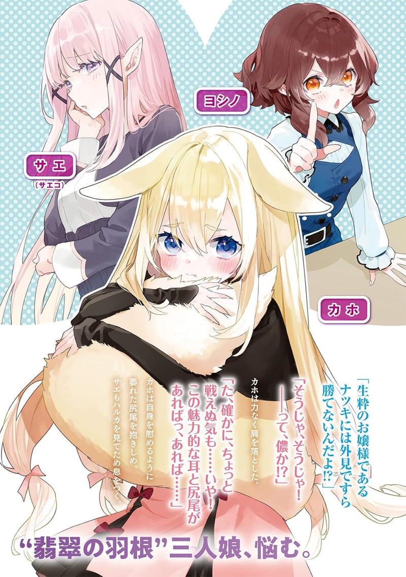 Isekai Teni, Jirai Tsuki. 12 (Light Novel)