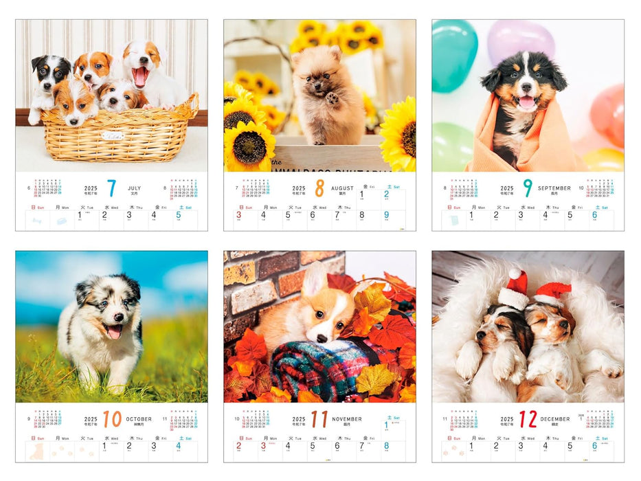 Calendar 2025 Fuwa Fuwa Wanko (Monthly/Wall Calendar) (Impress Calendar 2025)