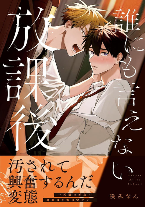 Dare nimo Ienai Houkago