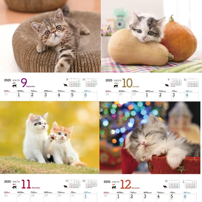 JTB Calendar Nyanko 2025 Wall Calenda