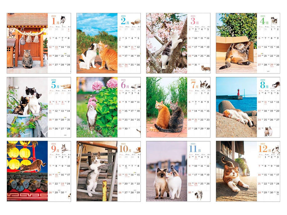 Soto Neko mini Calendar 2025 (Impress Calendar 2025)