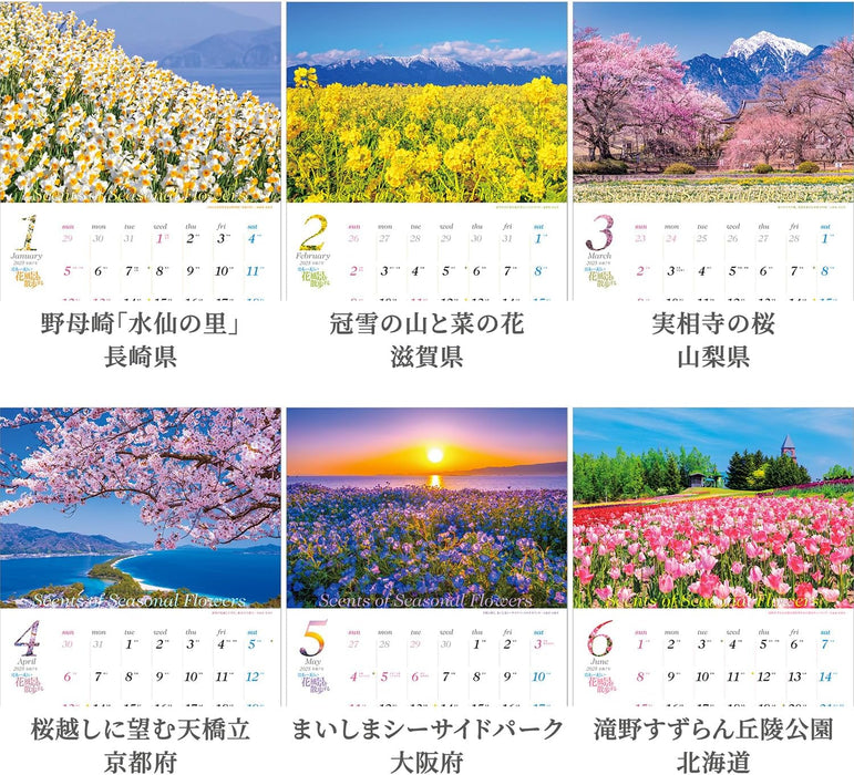 Shashin Koubou Scents of Seasonal Flowers 2025 Wall Calendar (with Holder) 300 x 420mm