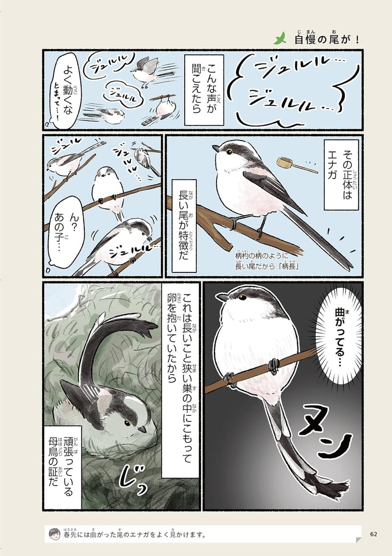 Madamada! Igai to Shiranai Tori no Seikatsu