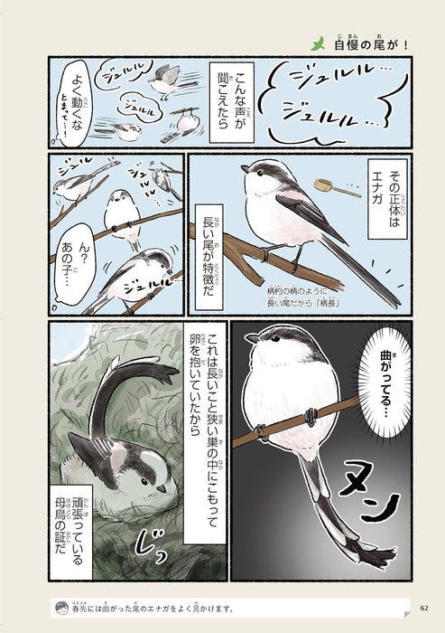 Madamada! Igai to Shiranai Tori no Seikatsu