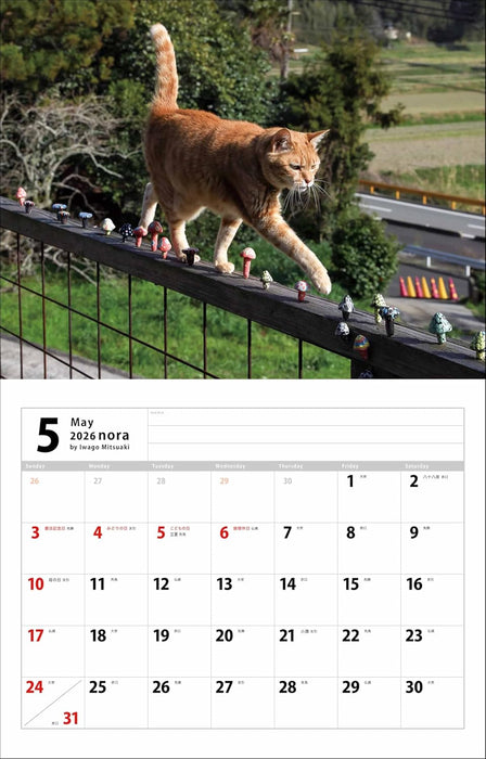 Mitsuaki Iwago Nora Calendar 2026