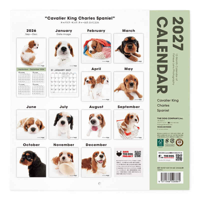 THE DOG 2027 Wall Calendar Mini Size [Shetland Sheepdog]