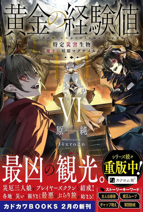 Ougon no Keikenchi VI (Light Novel)