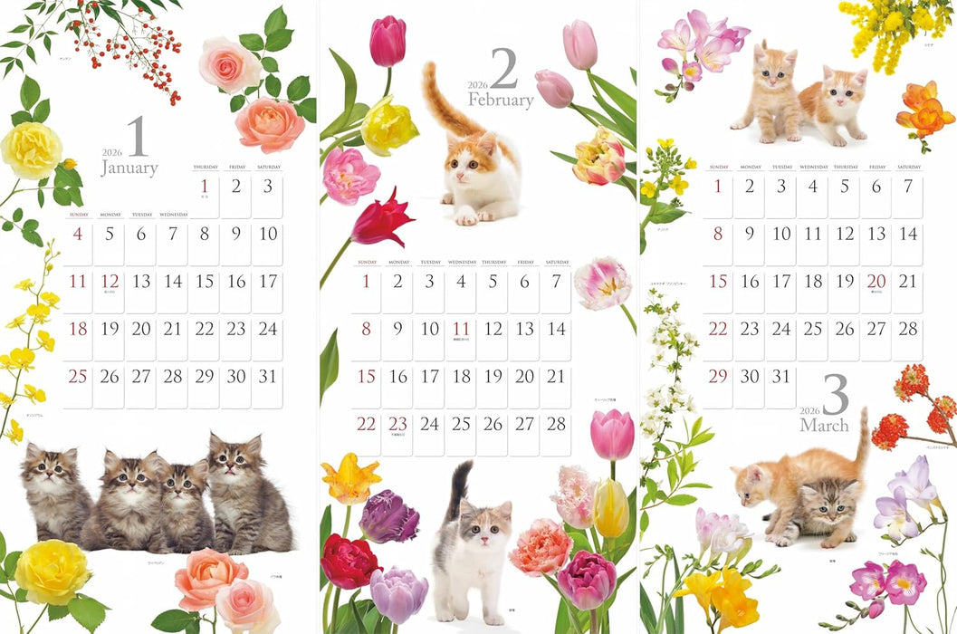 Calendar 2026 Cat and Flower Calendar (Monthly/Wall Calendar) (Yama-kei Calendar 2026)