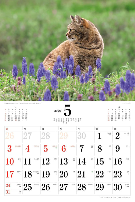 2026 Japanese Cats Calendar