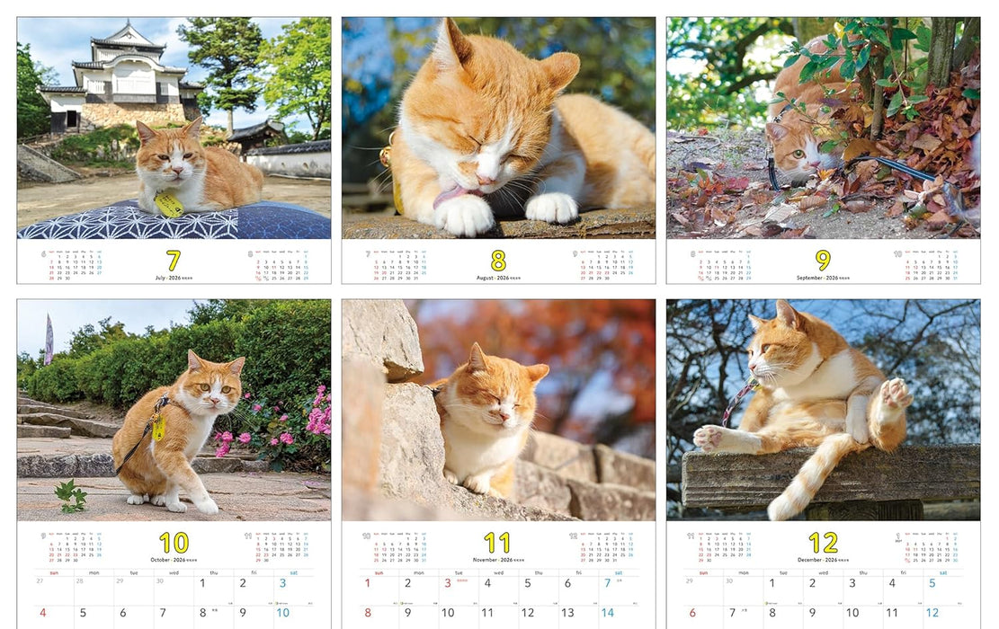 Sanjuro, Cat Lord of the Castle 2026 Calendar