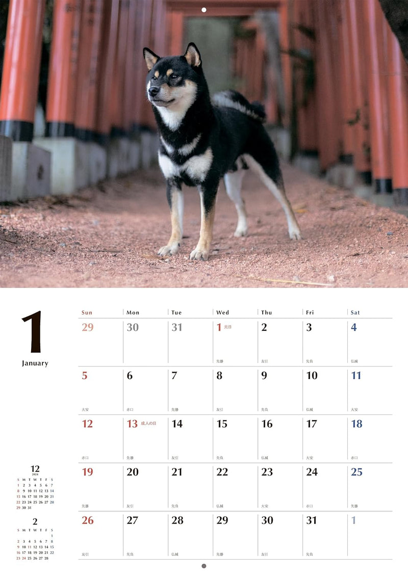 Black Shiba Inu Calendar 2025 (Wall Calendar)