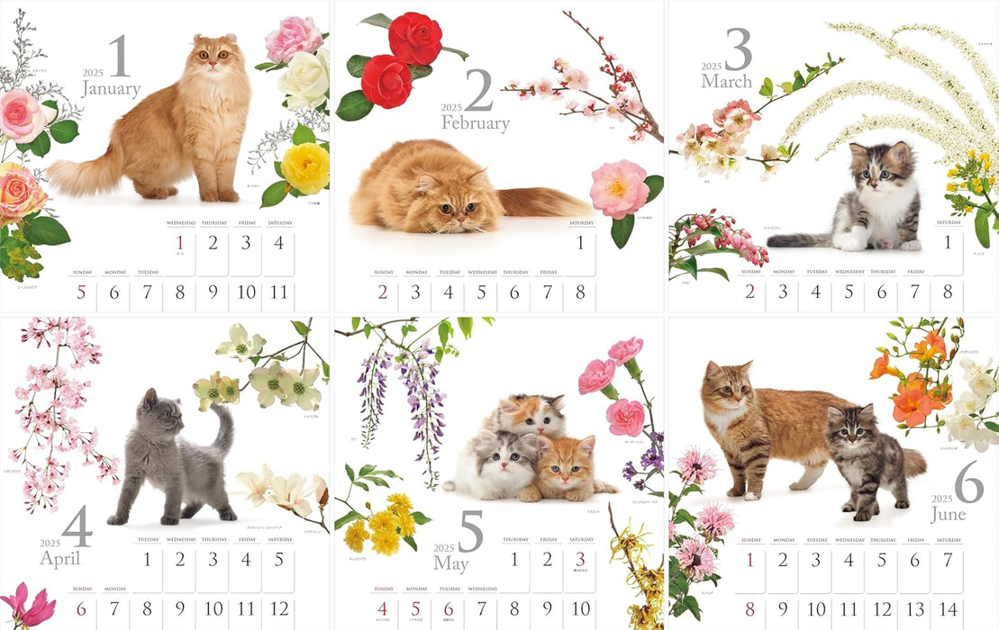 Calendar 2025 Cat and Flower Calendar (Monthly/Wall Calendar) (Yama-kei Calendar 2025)